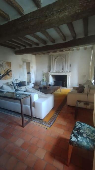 Domaine Du Prieure Saint Ellier Villa Charcé-Saint-Ellier-sur-Aubance Exteriör bild